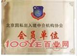 美國留學簽證、工作簽證及專業中介服務解析